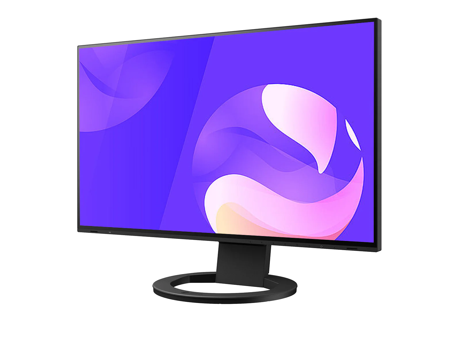 Eizo FlexScan EV2495 1920 x 1200 24" Color Display Monitor (EV2495FX-BK) 2 Eizo FlexScan EV2495 1920 x 1200 24" Color Display Monitor (EV2495FX-BK)